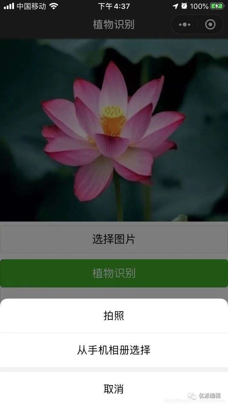 慧眼识花草小程序源码-支持自动查找识别与这款植物匹配的名称