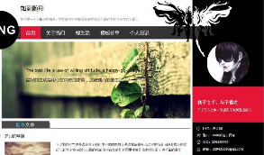 站长亲测版博客源码 自适应个性的个人博客整站织梦模板程序  简单易上手