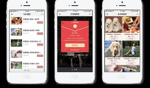 【独家修正视频打赏】微信DS视频打赏系统V15+代理商功能+试看功能+多种免签支付接口+防封功能等