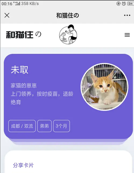流浪猫流浪狗发布H5源码下载 带演示