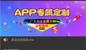 白菜cms双端影视APP源码 全开源 无授权 无后门